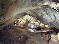 /album/fotogalerie-chynovska-jeskyne-dolni-luznice-taborsko/chynovska-jeskyne3-jpg1/